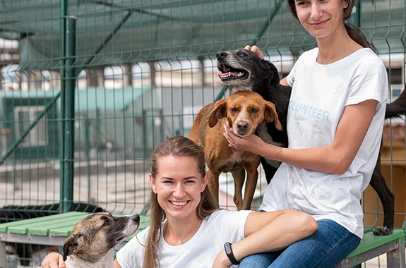 Animal rescue shelter caring for pets